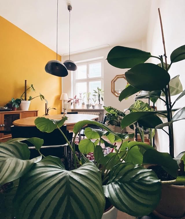 Modern Yellow Dining Room Colors Inspiration